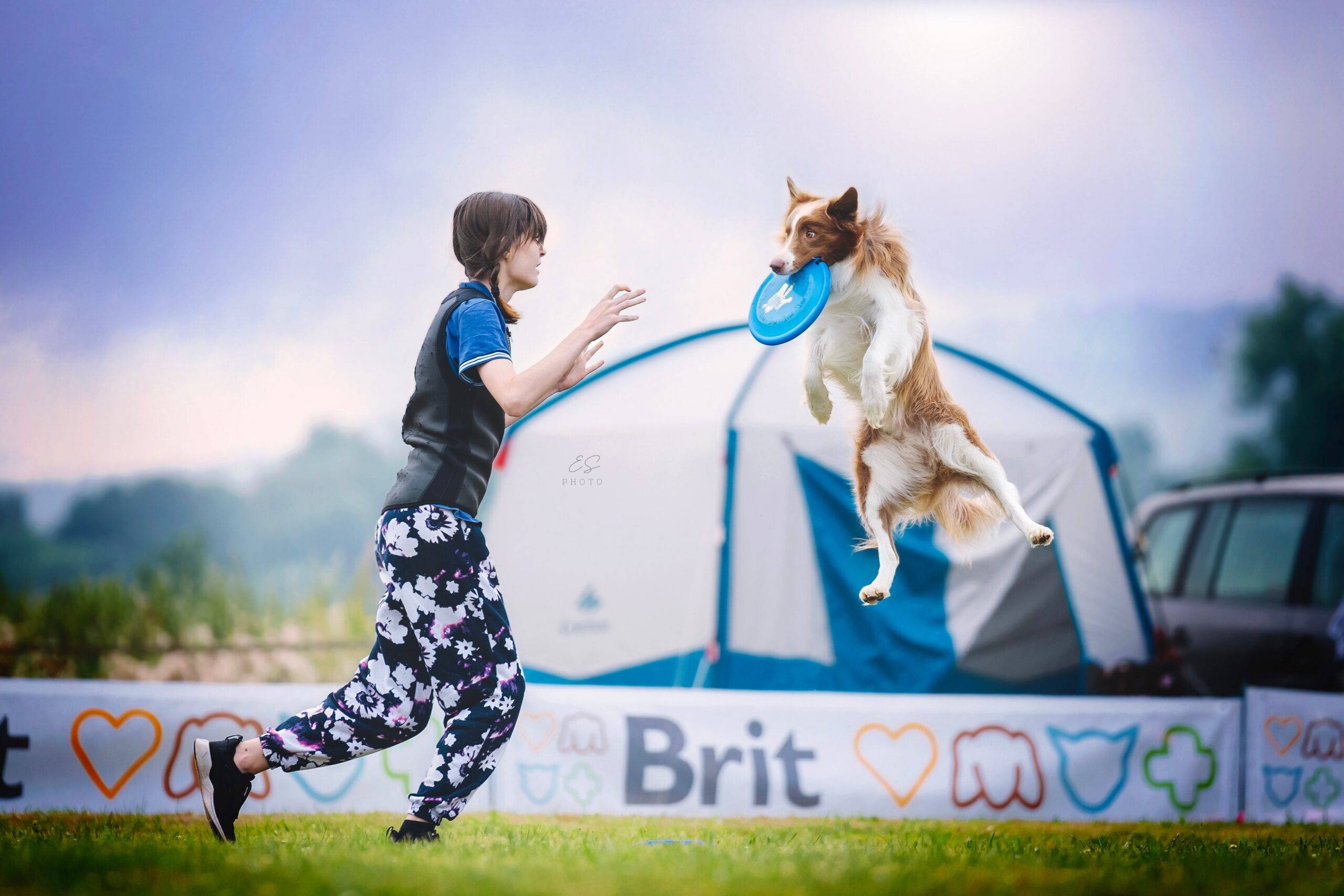 Fun Factory For Frisbee 2022 / Border Collie Czech Championships